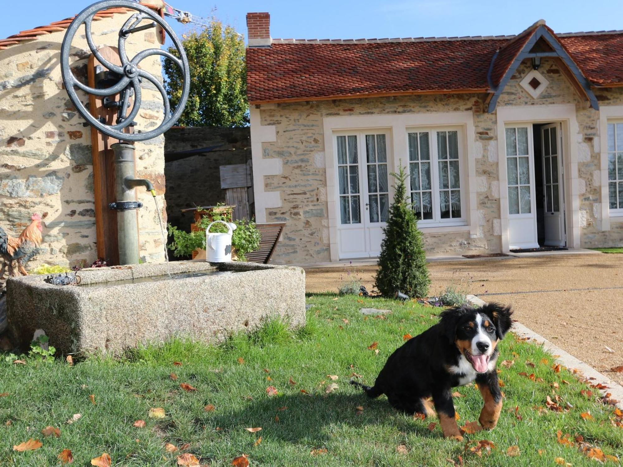 Gite L'Orangerie Villa Mouchamps Exterior foto