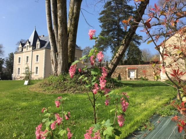 Gite L'Orangerie Villa Mouchamps Exterior foto